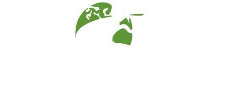 logo branco